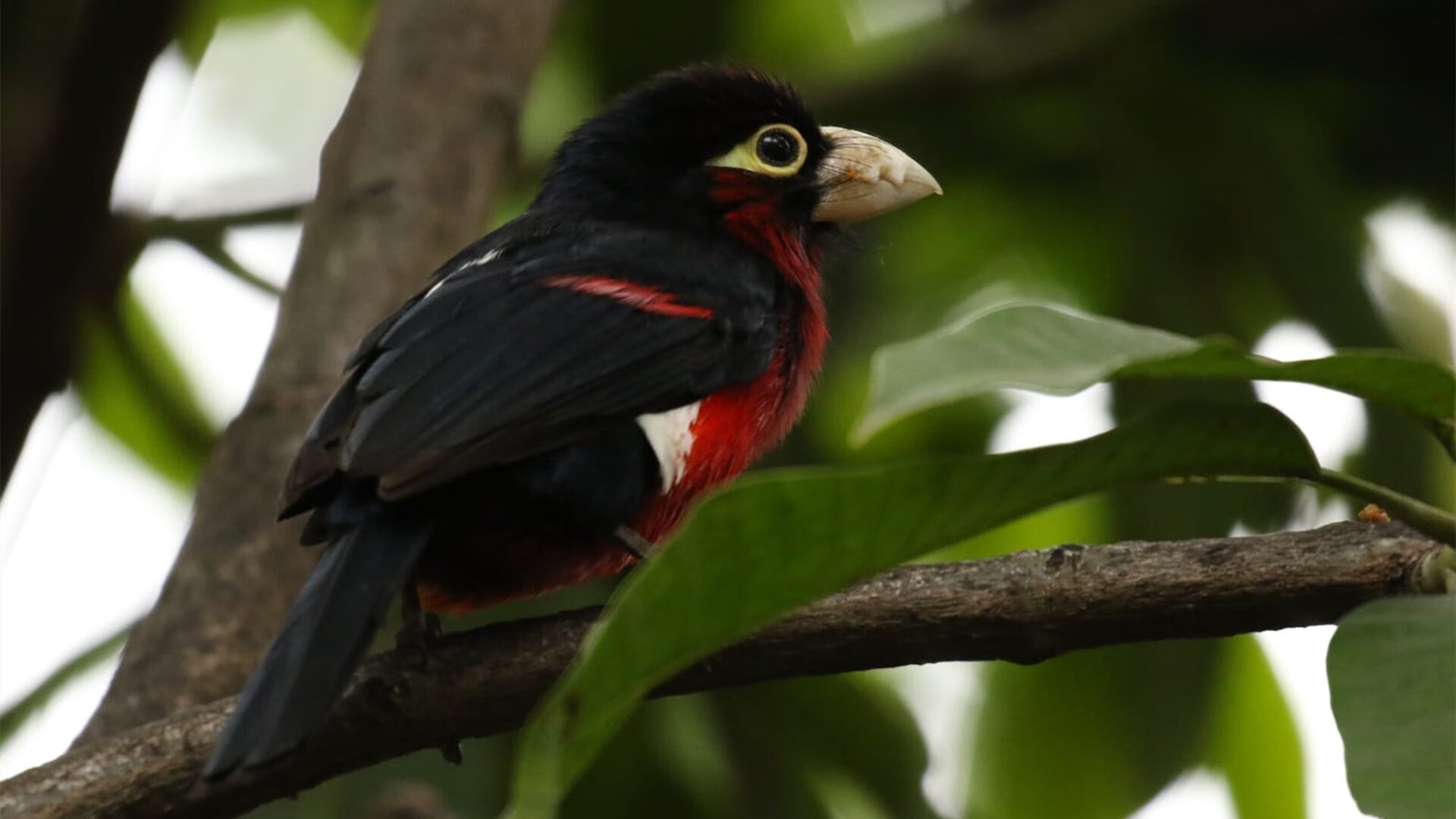 《绝地求生》选手的故事:从草根玩家到职业选手的奋斗,绝地求生 职业选手