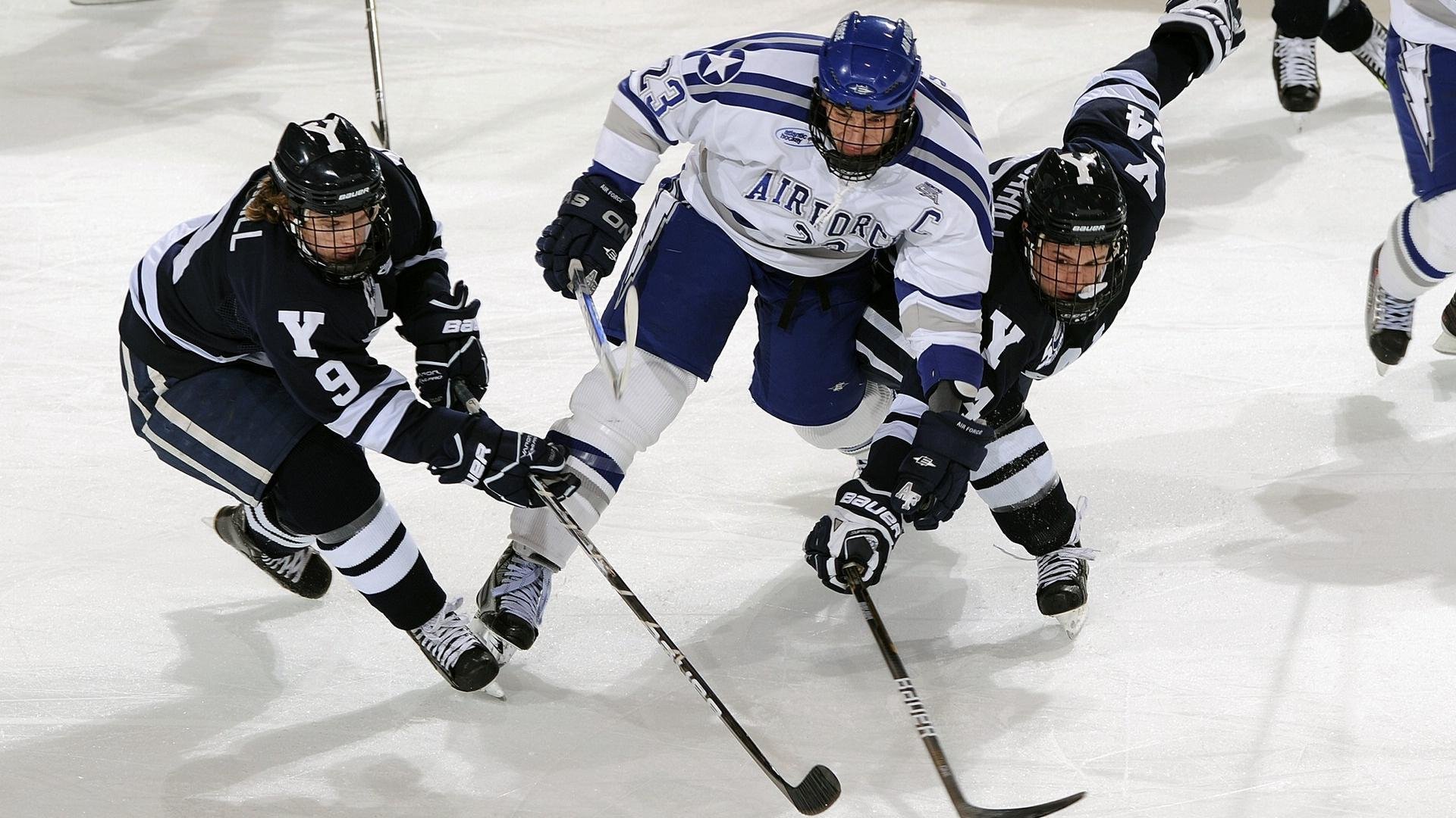 法国橄榄球赛事的票房和赞助收入创历史新高，法国橄榄球国家队