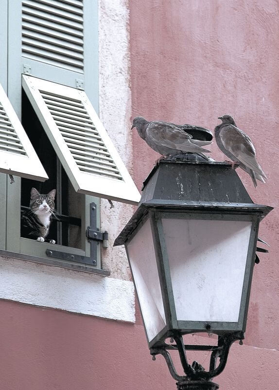 “新赛季中超志在必得,期待精彩纷呈的比赛”,新赛季中超地点