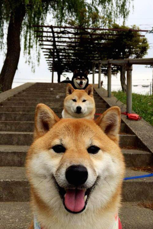 “意甲激烈争夺，年轻新星不断崭露头角”，2021意甲球星