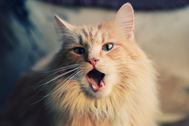 《CS_GO全球精英巡回赛，豪门战火不断》，csgo全球总决赛2021冠军