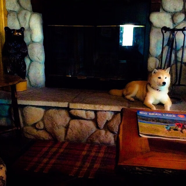 中国足球裁判比赛录像复核全面普及,提升判罚公正性,国内足球裁判