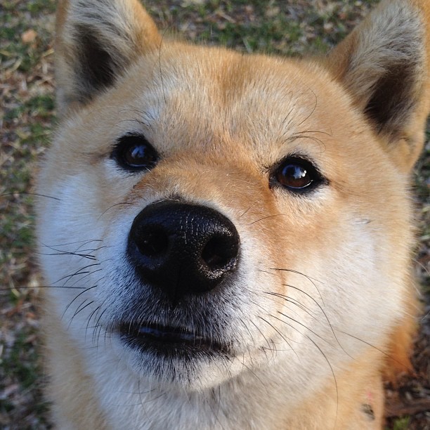 季后赛焦点：蒂伊在绝境中连续两场投中关键远距离三分！，伊蒂分队