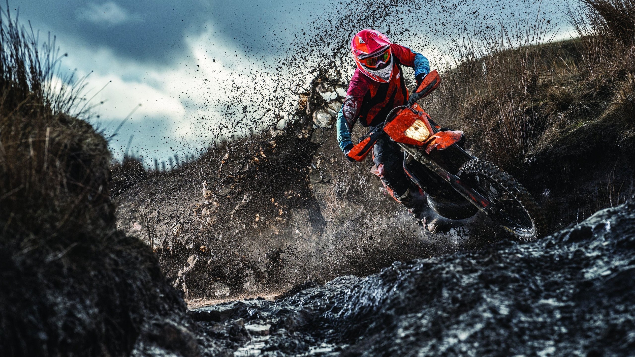 kaiyun-“诺克·达维德·彼得森的赛场表现引起橄榄球圈广泛关注”