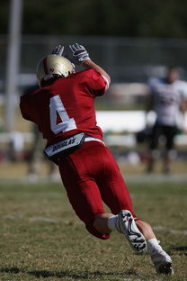 开云网页版登录入口-校园足球支持学生裁判项目拓展多元职业通路，普通高校足球专业学生裁判能力的培养